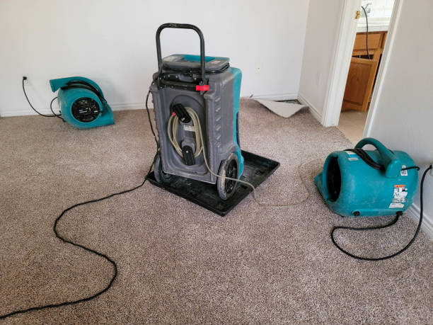 Best Carpet water damage restoration  in Liberty City, TX