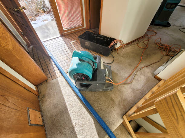 Liberty City, TX Water damage restoration Company