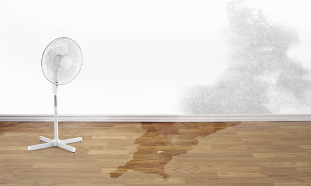 24/7 water damage repair in Liberty City, TX