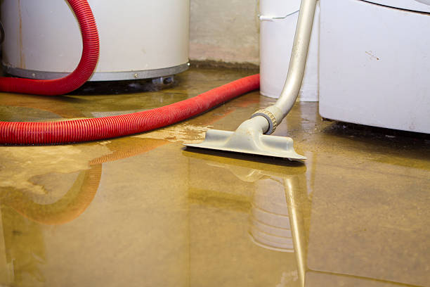 Best Commercial water damage restoration  in Liberty City, TX