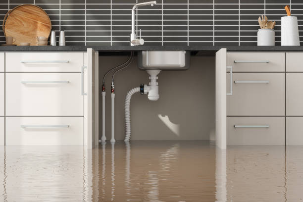  Liberty City, TX Water damage restoration Pros