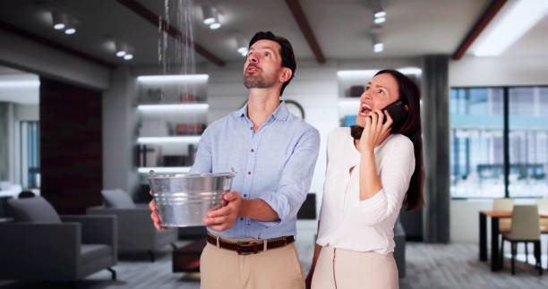 Best Mold removal after water damage  in Liberty City, TX