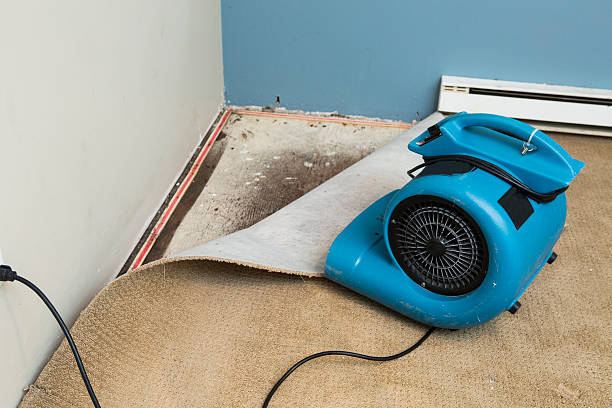 Water damage restoration mold remediation in Liberty City, TX